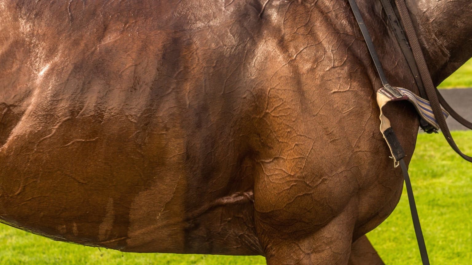 Racing to Zero Summer Mile Family Raceday